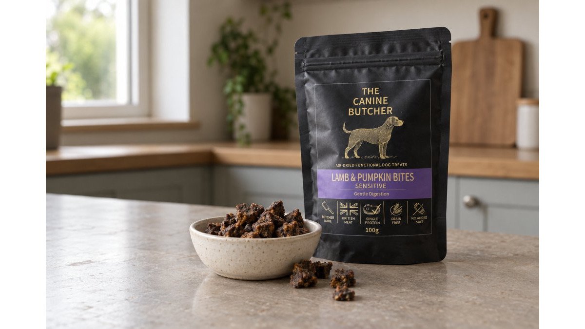 How to Choose Dog Treats for Sensitive Stomachs